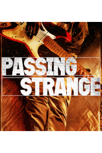 Passing Strange at The Young Vic, West End