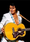 A Vision of Elvis at Royal Theatre and Event Centre, Castlebar