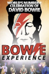 Bowie Experience at Axminster Guildhall, Axminster