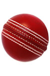 Cricket - County Cricket tickets and information