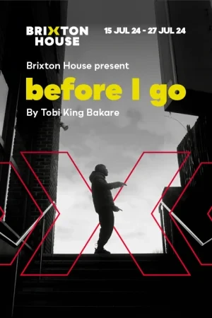 Buy tickets for Housemates Returns: Before I Go