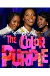 The Color Purple archive