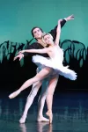 Swan Lake archive