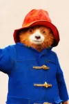 The Paddington Bear Experience archive