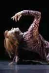 Sylvie Guillem - 6000 Miles Away archive