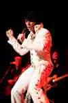 One Night of Elvis - The Return to Memphis archive