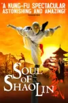 Soul of Shaolin archive