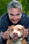 Cesar Millan - Trust Your Instincts Live Tour 2013 archive