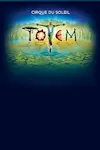 TOTEM archive