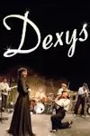 Dexys - One Day I'm Going To Soar archive