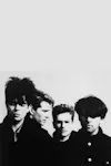 Echo and the Bunnymen archive