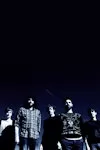 Foals archive