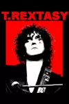 T.Rextasy - Get It On 40th Anniversary Tour archive