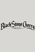 Black Stone Cherry - Screamin' At The Sky Tour