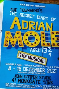 The Secret Diary of Adrian Mole