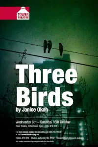 Three Birds