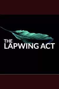 The Lapwing Act