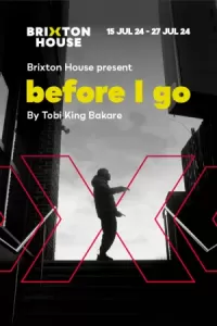 Housemates Returns: Before I Go