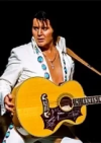 A Vision of Elvis