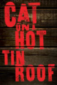 Cat on a Hot Tin Roof