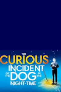 The Curious Incident of the Dog in the Night-Time