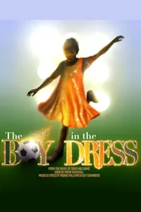 The Boy in the Dress