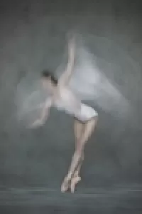 Swan Lake