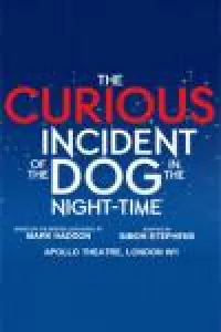 The Curious Incident of the Dog in the Night-Time