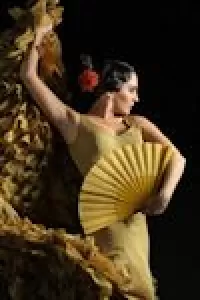 Gala Flamenca