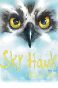 Sky Hawk