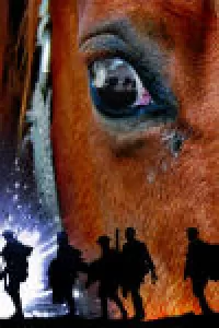 War Horse